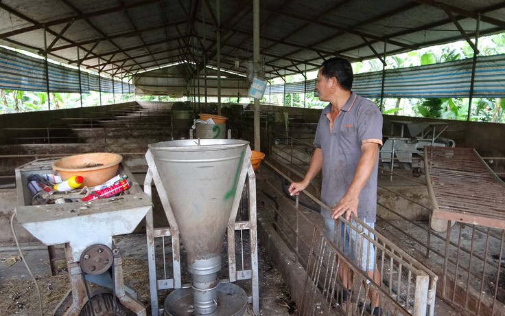 Thủ phủ chăn nuôi heo Đồng Nai công bố hết dịch tả lợn châu Phi