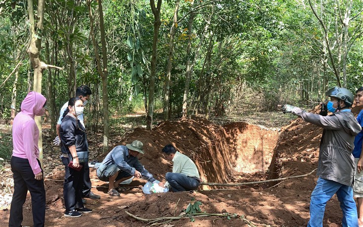 Chủ trại chôn trái phép hơn 100 con heo, bị người dân địa phương 'méc' chính quyền