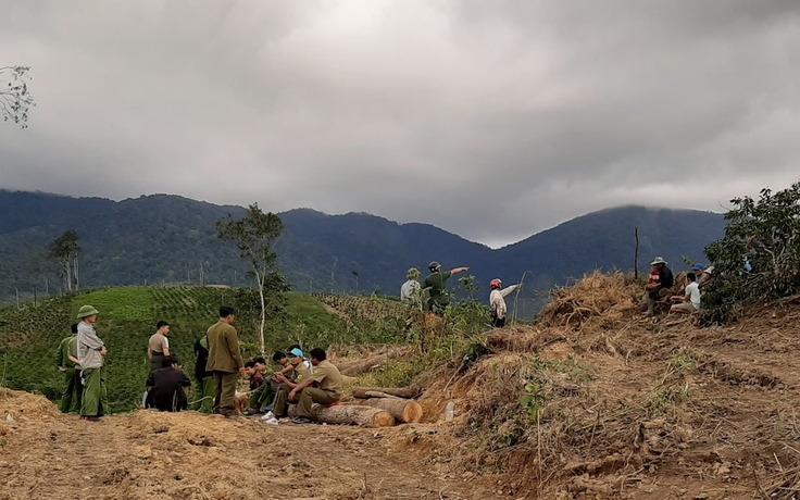 Phát hiện vụ phá rừng nghiêm trọng tại Lâm Đồng