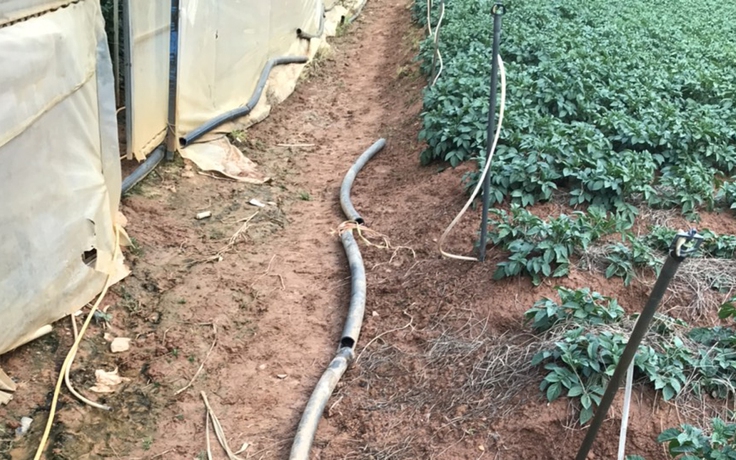 Một hộ trồng rau Đà Lạt nẫu ruột vì hệ thống tưới bị chặt phá tan tành
