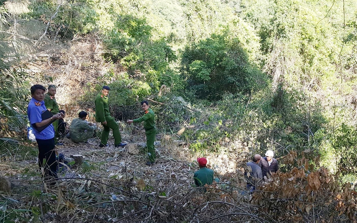 Đà Lạt: Phá rừng phòng hộ, bị xử phạt gần 350 triệu đồng