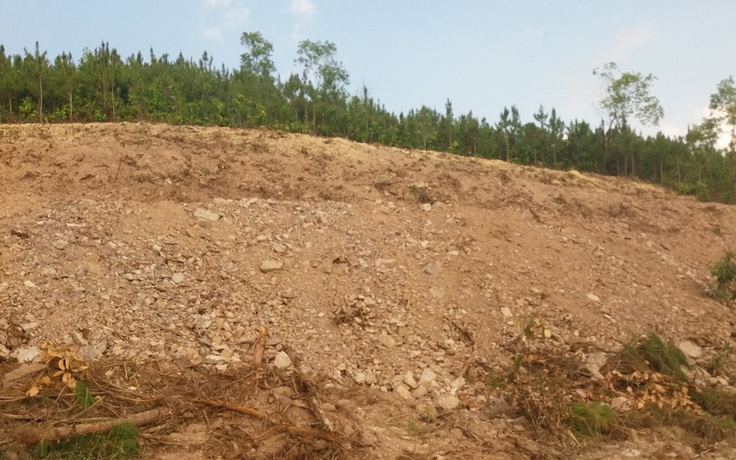 Vụ San ủi đất rừng để chiếm đất ở Lâm Đồng: Ban Quản lý rừng nói gì?