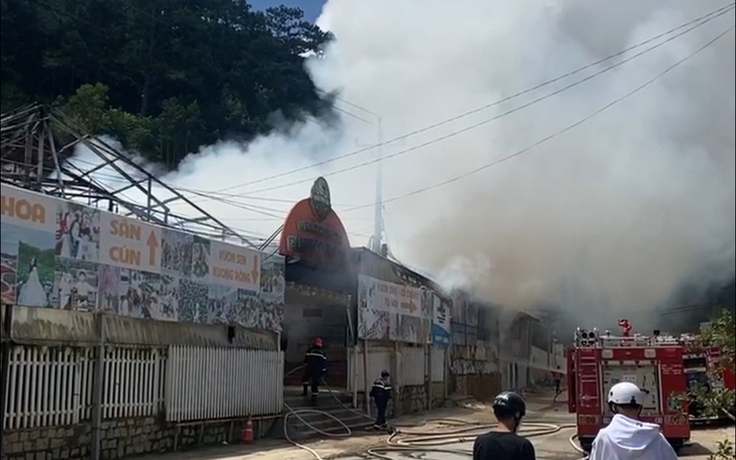 Đà Lạt: Xác định được nguyên nhân vụ cháy lớn ở Khu du lịch Nông trại Cún