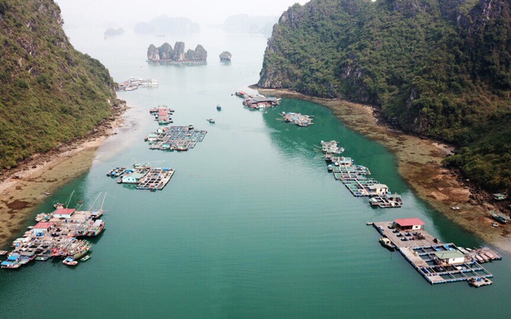Quảng Ninh, Hải Phòng phủ nhận chuyện ‘ngăn sông cấm chợ’ trên vịnh Hạ Long