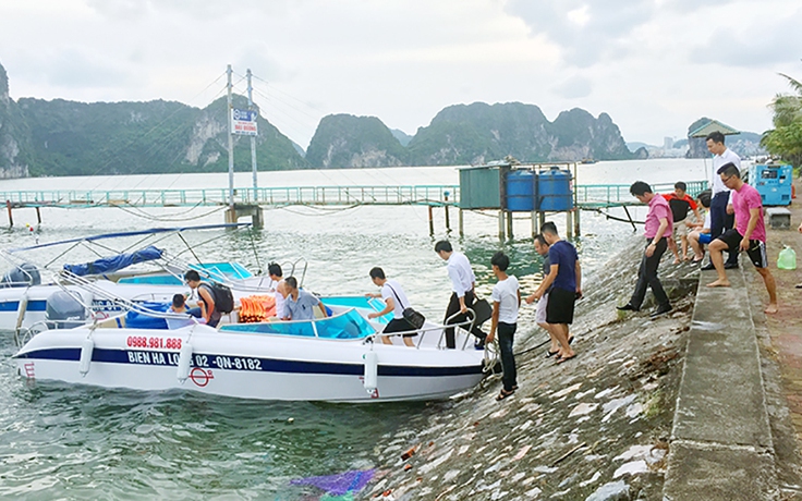 Xuồng máy mang biển số của bộ đội biên phòng chở khách 'chui' trên vịnh Hạ Long