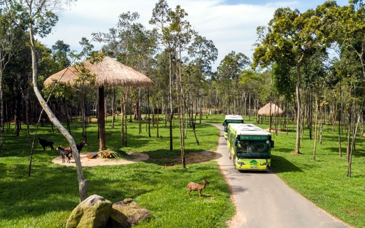 Quảng Ninh lên kế hoạch làm ‘Safari Hạ Long’