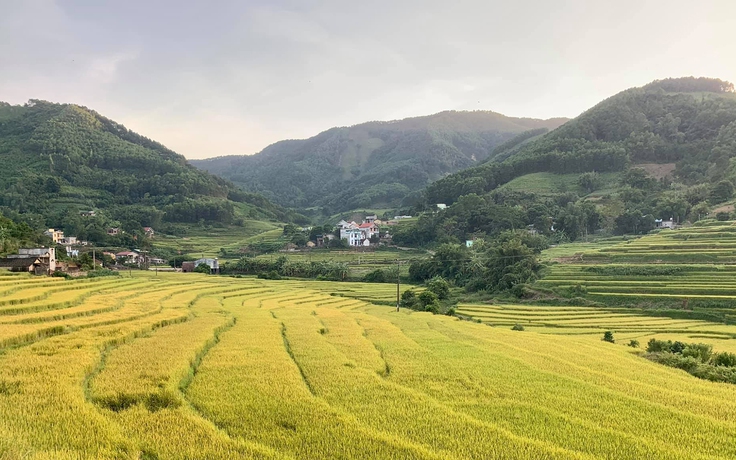 Hàng nghìn người dự lễ hội mùa vàng ở Tiên Yên