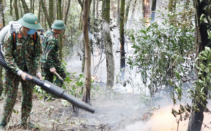 Quảng Ninh: Dập tắt đám cháy hơn 4 ha rừng ở trung tâm Hạ Long