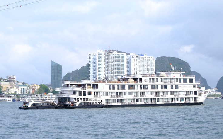 Quảng Ninh: 122 hành khách trên du thuyền Ambassador Cruise được trở về nhà