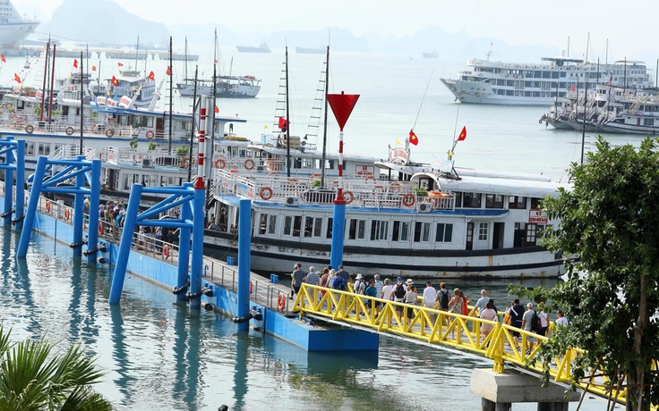 Quảng Ninh: Điều tra vụ một du khách rơi xuống vịnh Hạ Long tử nạn