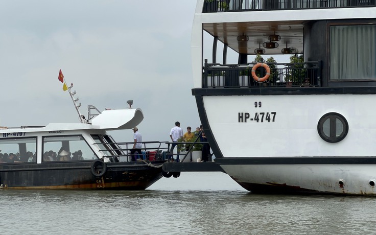 Quảng Ninh yêu cầu xử lý nghiêm tàu Hải Phòng hoạt động chui trên vịnh Hạ Long