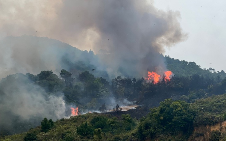 Quảng Ninh: Cháy rừng trên đảo Vĩnh Thực