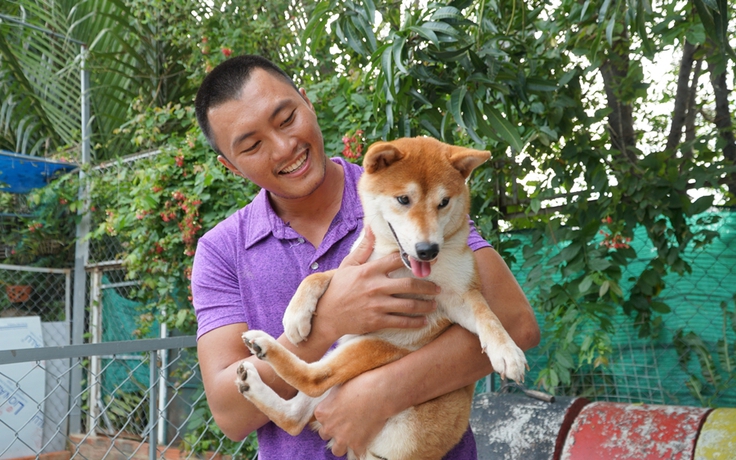 Giống chó Shiba được chọn đóng cậu Vàng: Ăn cá hồi, ngủ điều hòa, giá nghìn USD