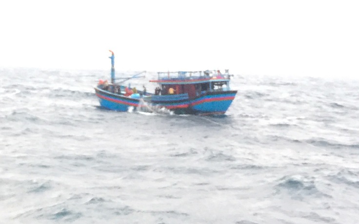 12 ngư dân Bình Định thoát chết giữa biển