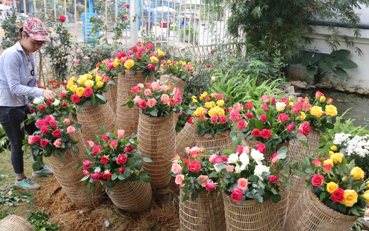 Ngắm hơn 1.000 loài hoa khoe sắc trước ngày khai mạc lễ hội hoa hồng Bulgaria