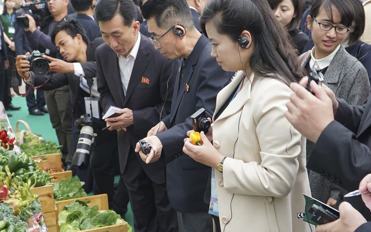 Nữ ca sĩ quyền lực nhất Triều Tiên thích thú ăn ớt sạch VinEco tại Hải Phòng