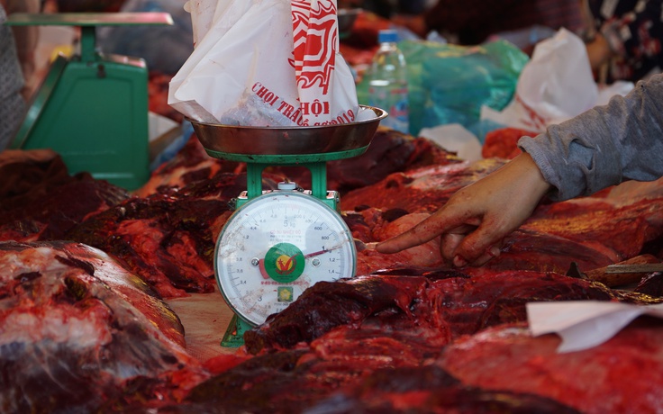 Hơn 2 triệu đồng một kg thịt trâu chọi Đồ Sơn