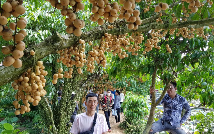 Lễ 30.4, bạn và gia đình có đi đâu chơi?