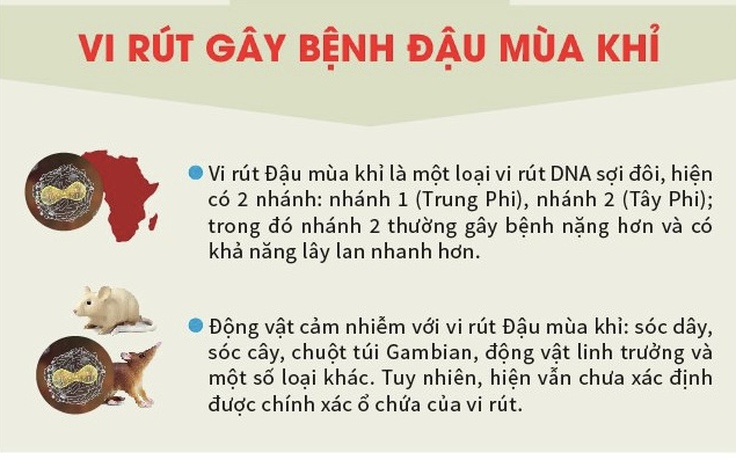 Bộ Y tế thông tin về nữ bệnh nhân mắc bệnh đậu mùa khỉ đầu tiên tại Việt Nam