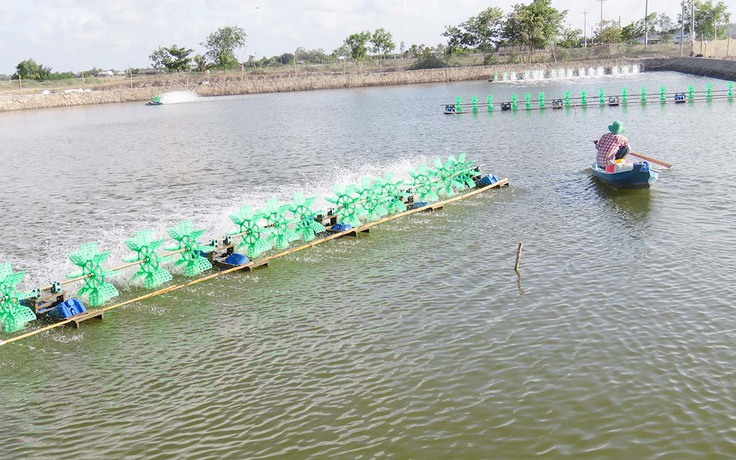 Dấu ấn 10 năm điện khí hóa nông thôn ở Trà Vinh