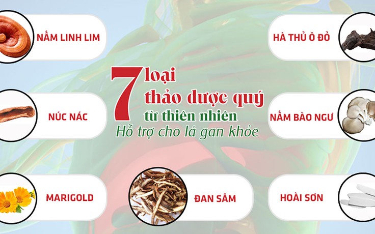 7 thảo dược quý tự nhiên giúp bảo vệ và giảm các triệu chứng bệnh về gan