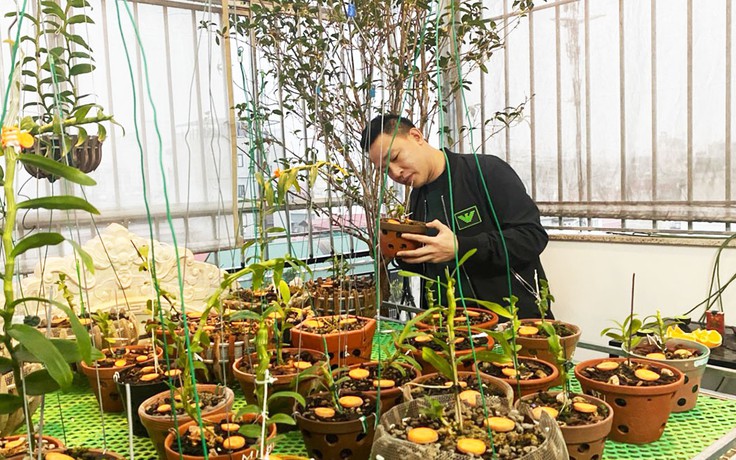 Chàng trai trẻ Nguyễn Văn Mạnh cùng tình yêu hoa lan đột biến