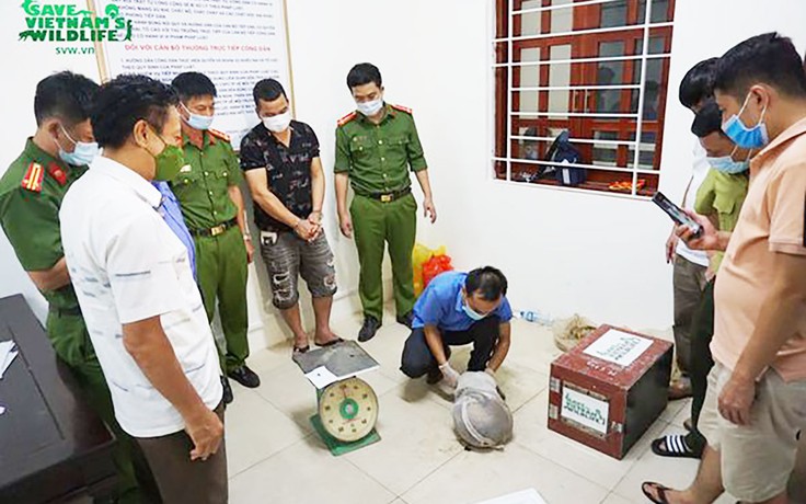 Nạn buôn lậu các loài tê tê và những nỗ lực bảo tồn