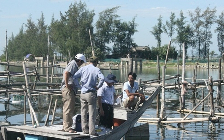 Cá nuôi gần cửa biển Thuận An chết trắng lồng