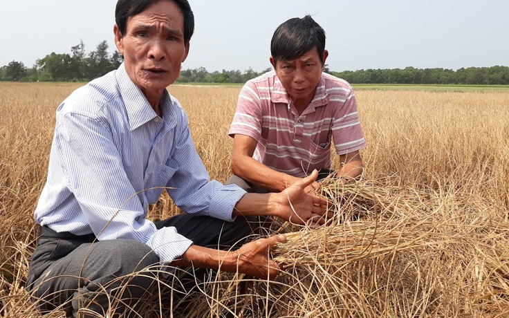 Huế nóng như 'chảo lửa', cây trồng chết khô, khả năng còn 'nóng đổ lửa'