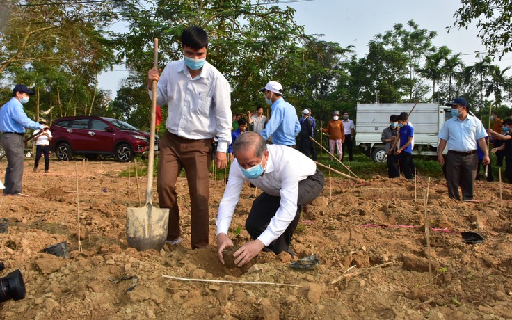Chủ tịch tỉnh cùng người dân trồng để tạo rừng mai vàng ở làng cổ Phước Tích