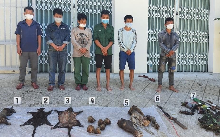 Thừa Thiên - Huế: Bắt nhóm sát hại linh trưởng dã man tại Vườn quốc gia Bạch Mã