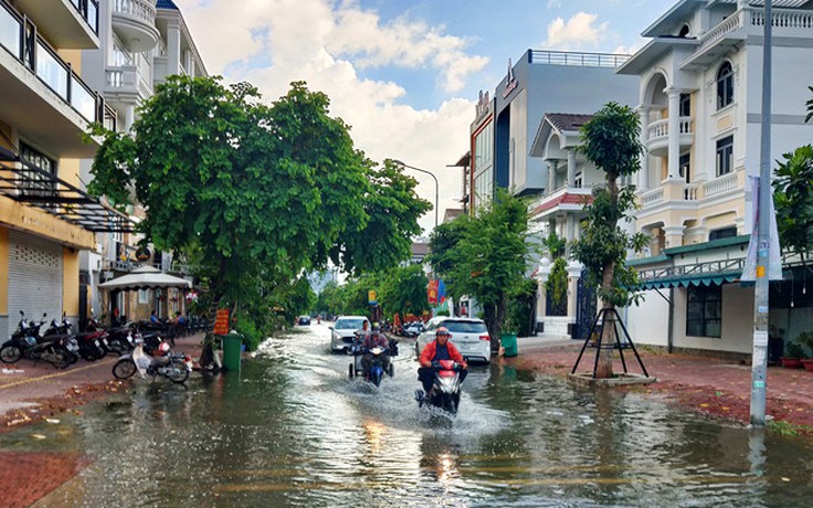 TP.HCM: Đắp tạm đê bao để chống triều