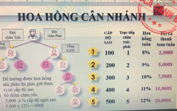 Cảnh báo các hình thức lừa đảo đa cấp, tiền ảo biến tướng