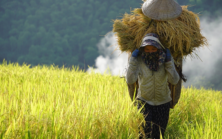 'Gùi mùa' về bản dưới cái nắng như đổ lửa ở miền tây Thanh Hóa