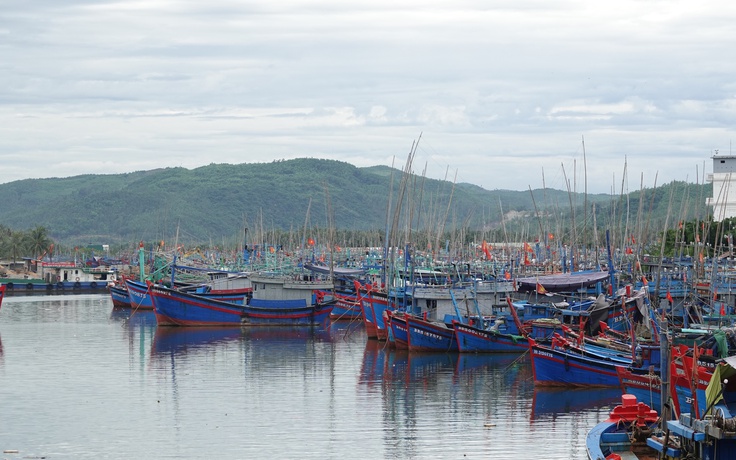 Thủ tướng giao Bộ Công an, Quốc phòng xử lý tàu cá khai thác bất hợp pháp