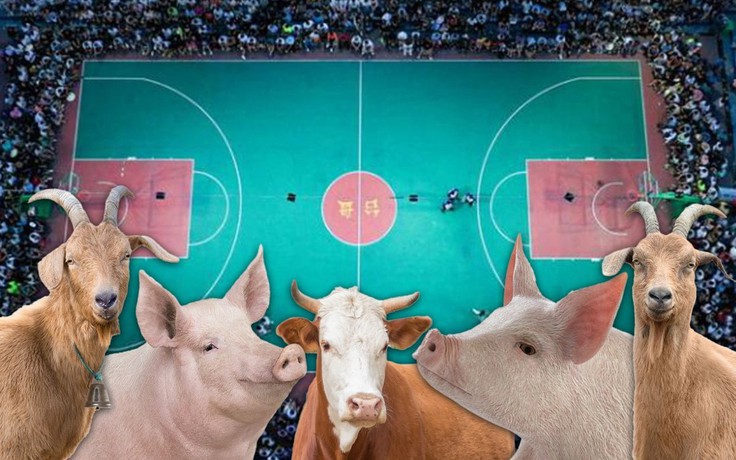 Giải 'NBA làng' ở Trung Quốc thu hút hàng vạn khán giả, giải thưởng là bò, dê, lợn