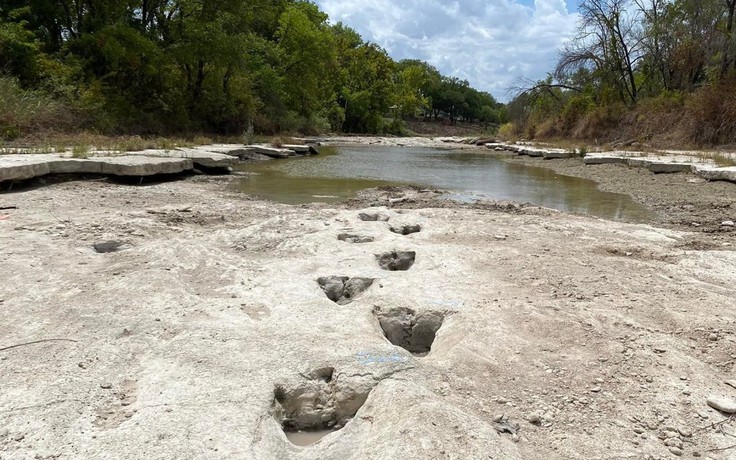 Dấu chân khủng long 113 triệu năm lộ ra giữa sông vì hạn hán ở Mỹ