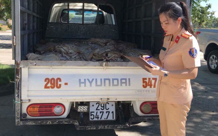 Bắt vụ chở 1 tấn bì lợn hôi thối từ Hà Nội vào Thanh Hóa tiêu thụ