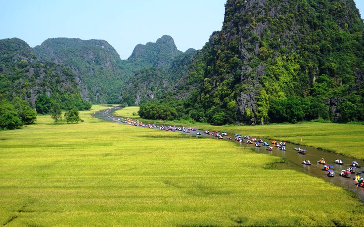 Lạc bước ở 'Hạ Long trên cạn', du ngoạn giữa cánh đồng lúa chín vàng