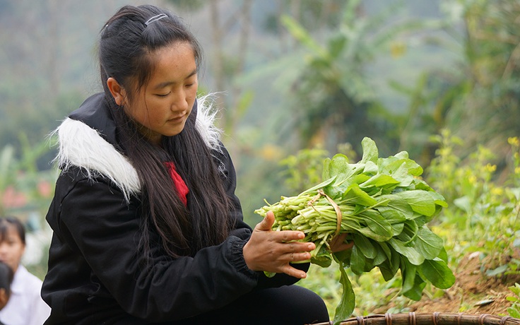 Học sinh vùng cao Thanh Hóa trồng rau, nuôi lợn để cải thiện bữa ăn