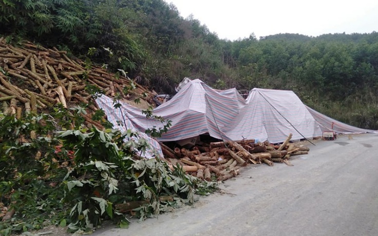 Thanh Hóa: Xe chở keo đâm vào vách núi, 7 người thiệt mạng