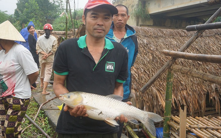 Thủy sản chết hàng loạt trên sông Mã: Truy tìm ống xả thải trái phép ra sông