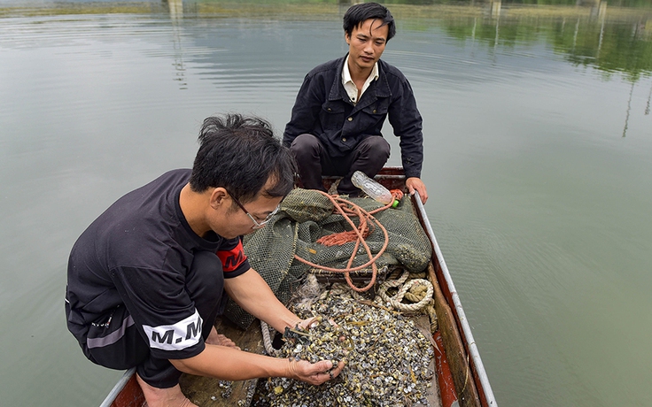 Vụ sông Mã bị 'đầu độc' chưa được xử lý, doanh nghiệp muốn hoạt động trở lại