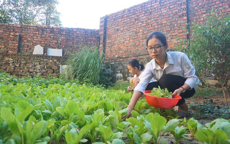 Thủ khoa 10 điểm môn lịch sử đam mê đọc sách và vẽ tranh