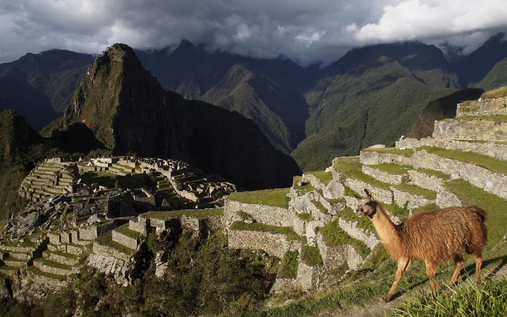 Di tích linh thiêng Machu Picchu chỉ mở cửa cho… một du khách
