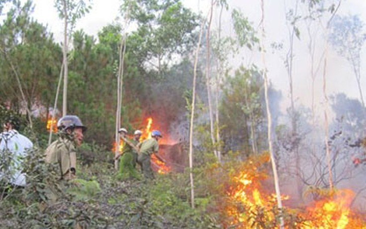 Cháy rừng tại Nghệ An