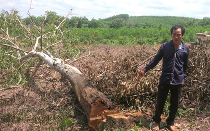 Anh em bạn dì đánh nhau vì tranh chấp vườn tràm, một người chết