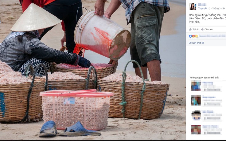 Tẩm màu cho ruốc: Công an vào cuộc điều tra, xác minh