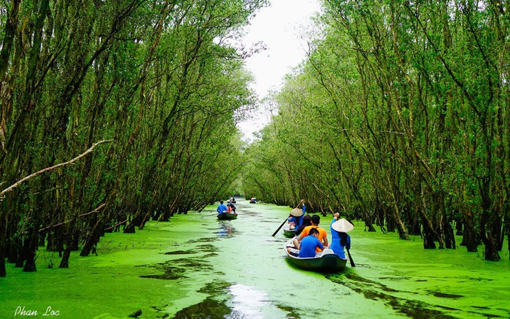 Vẻ đẹp nao lòng của rừng tràm Trà Sư 'đốn tim' phượt thủ