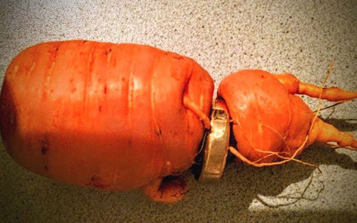 Củ cà rốt giúp ông lão 82 tuổi tìm lại nhẫn cưới